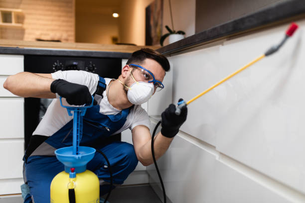 Best Best Pest Control Companies  in Phoenix, AZ