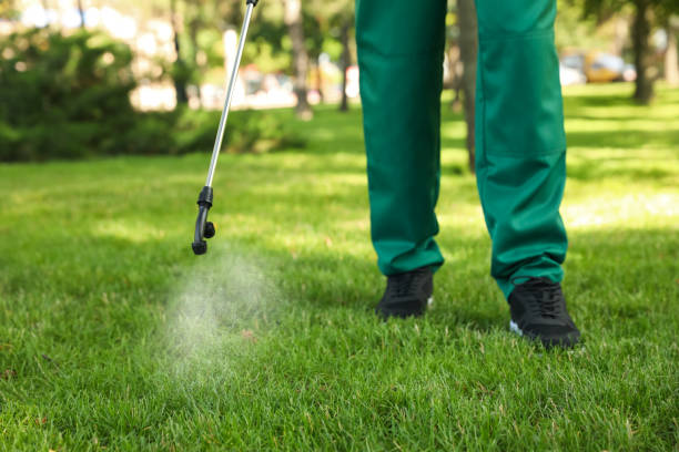 Best Flea Control Services  in Phoenix, AZ
