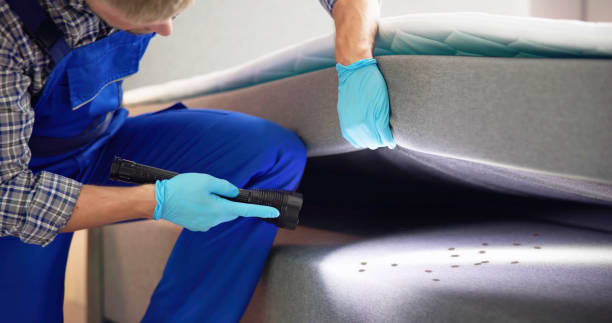 Pest Prevention Services in Phoenix, AZ