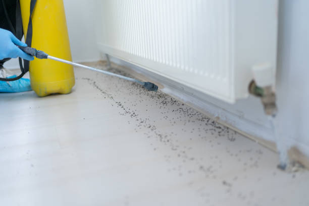 Best Wildlife Control Services  in Phoenix, AZ
